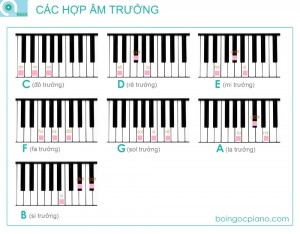 hop-am-piano