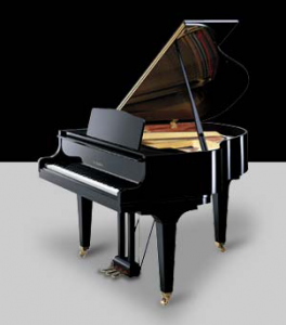 Sự khác nhau giữa phím đàn Piano cơ và Piano điện 1